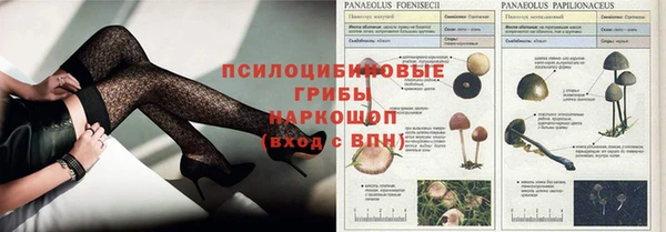 шишки Семикаракорск