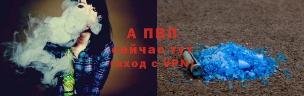 стаф Семилуки