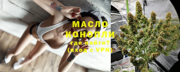 стаф Семилуки